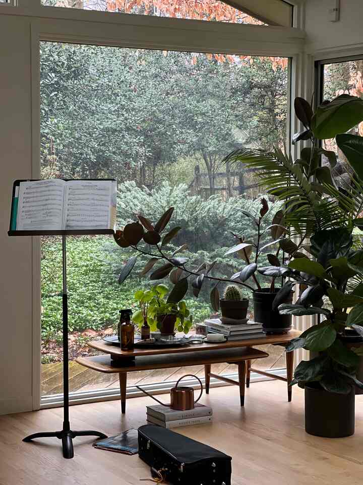 Rainy day #bedroom #bedroomdecor #bedrokminterior #Planterrier #indoorplants #plantsdecor #roomdecor #roominterior