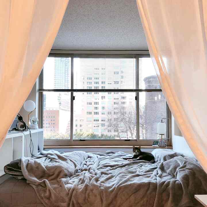 Beige and white toned small bedroom with large window, cozy atmosphere featuring a cat lying on the bed