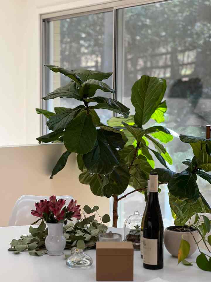 Spring mood #diningtable #diningroom #diningtabledecor #homedecor