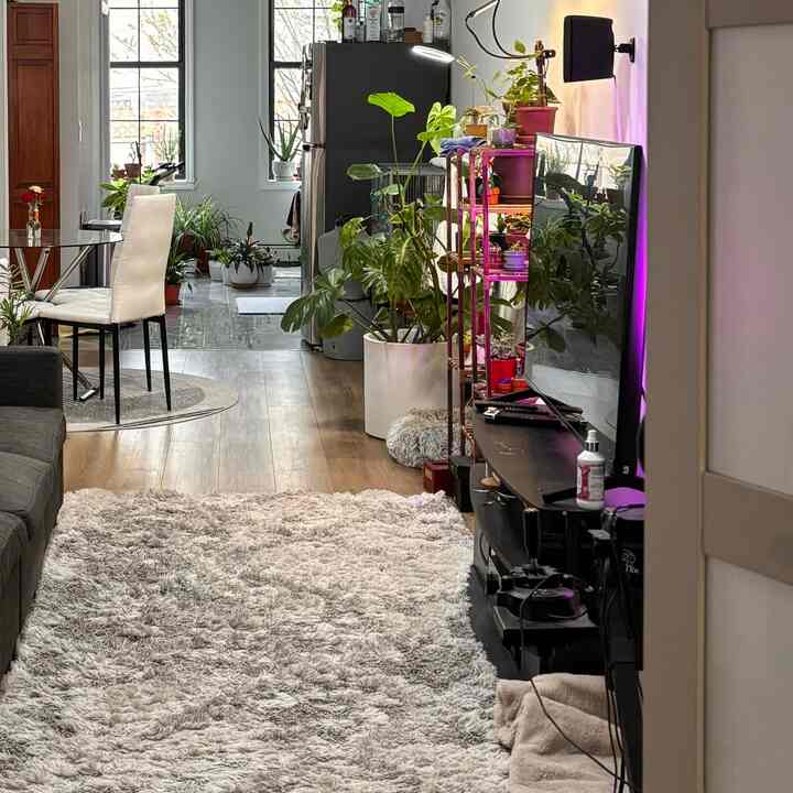 A long and narrow apartment means maximizing wall space

#apartmentinterior #apartmentlivingroominterior 
#Planterrier #plantinterior #birdcage #pets 
#nyc