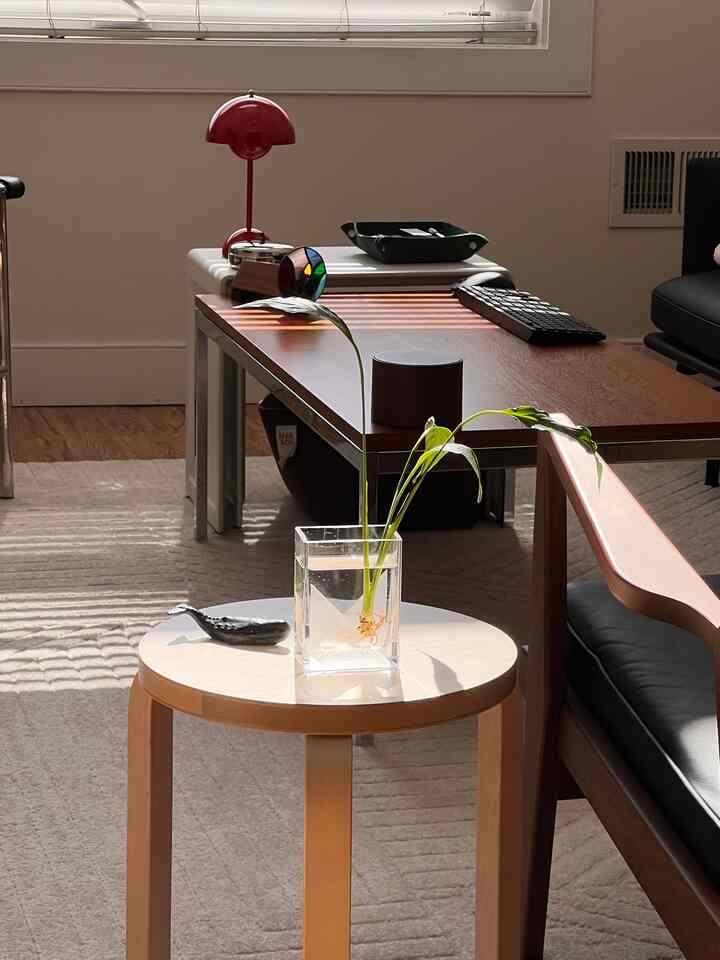 I got a vintage Iittala vase and am growing peace lily in it. Love to stare at it mid-day when sun is shining right on top of it. One of the activities that make me happy.
#plantinterior #plant #PlantDeco #plants #cozy #HappyHouse #happy #happiness 