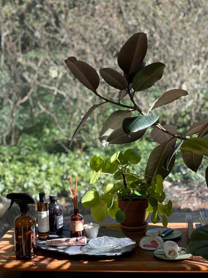 💚💚💚 #room #bedroom #roomdecor #plants #cozyinterior#cozyroomdecor #roominterior