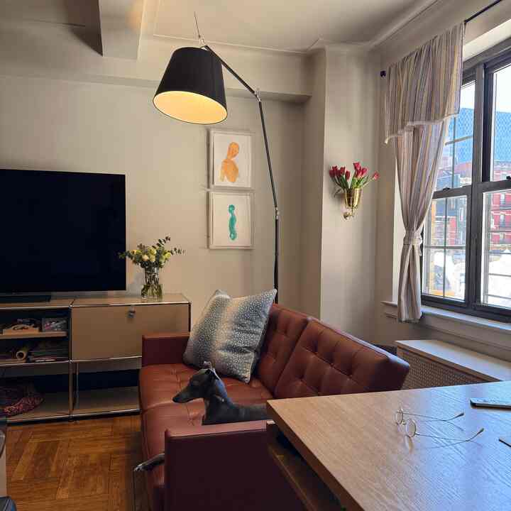 Natural toned living room featuring brown sofa, large window, and a pet dog creating cozy atmosphere