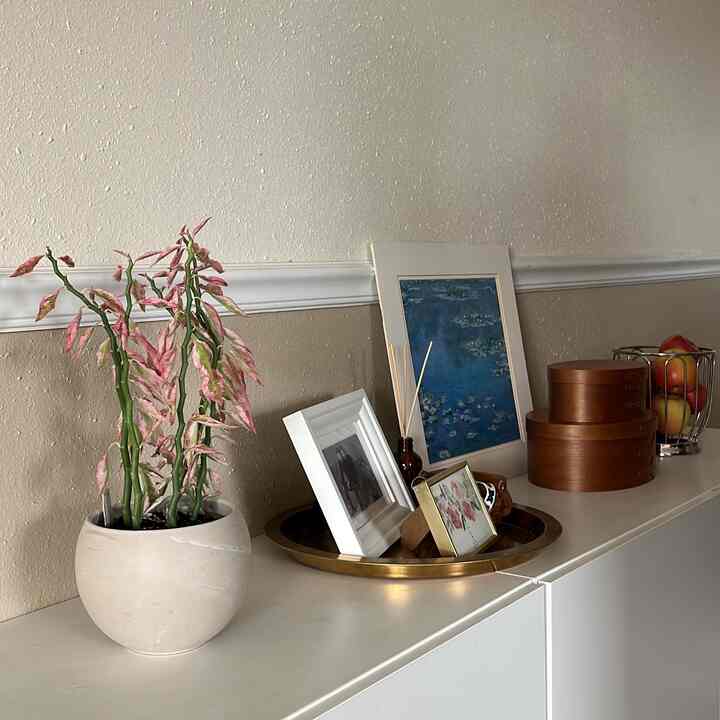 Change the vibe of the house with the plants for the spring. 💚 Hopefully, they survive until next spring. 

#entranceinterior #livingroom #plantinterior #springinterior 