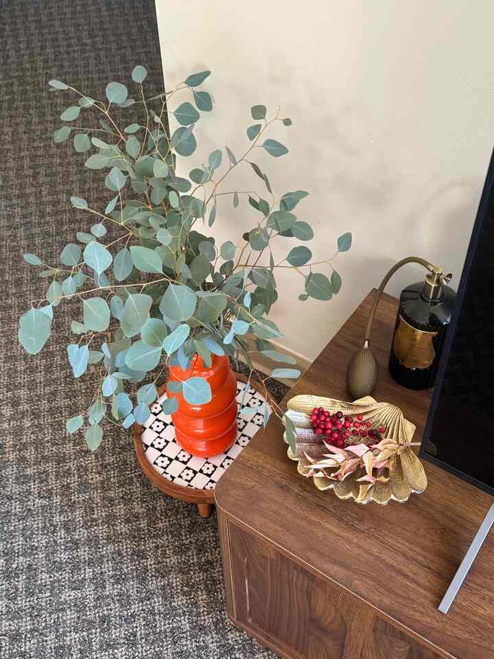 finally got this cute plantpot stand:) 

#Planterrier #plant #plantinterior #PlantDeco #plantpot #plantstand #livingroom #vase

