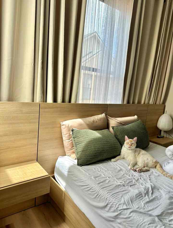 Wood tone and white bedroom featuring a wooden platform bed with silk pillows and a cat lounging comfortably