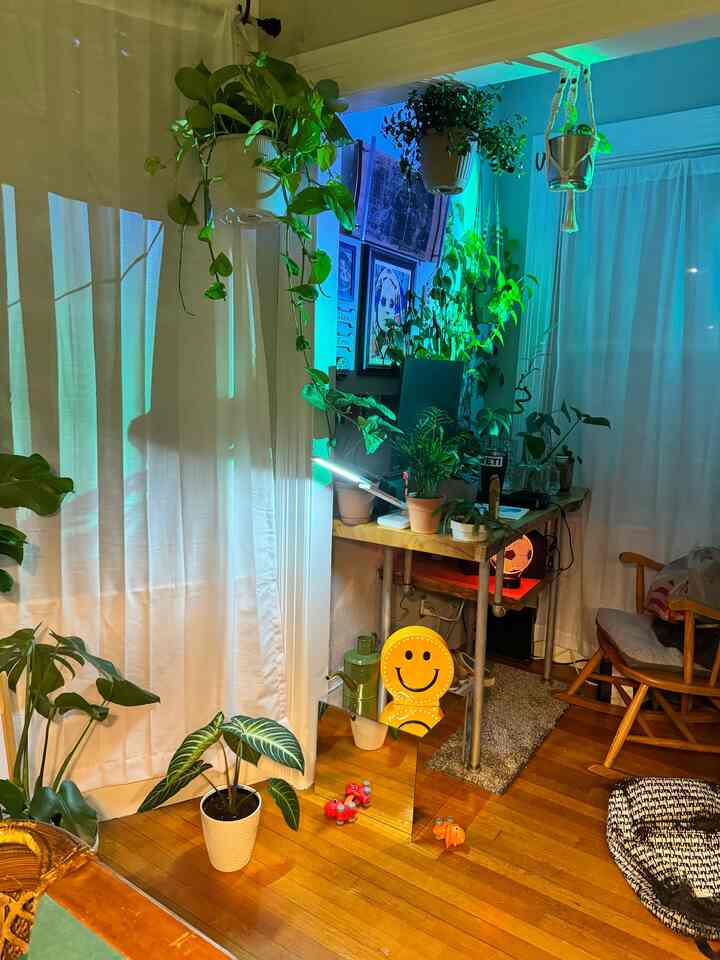 Compact home office with natural wood tones, white curtains backdrop, and abundant plants creating a cozy atmosphere