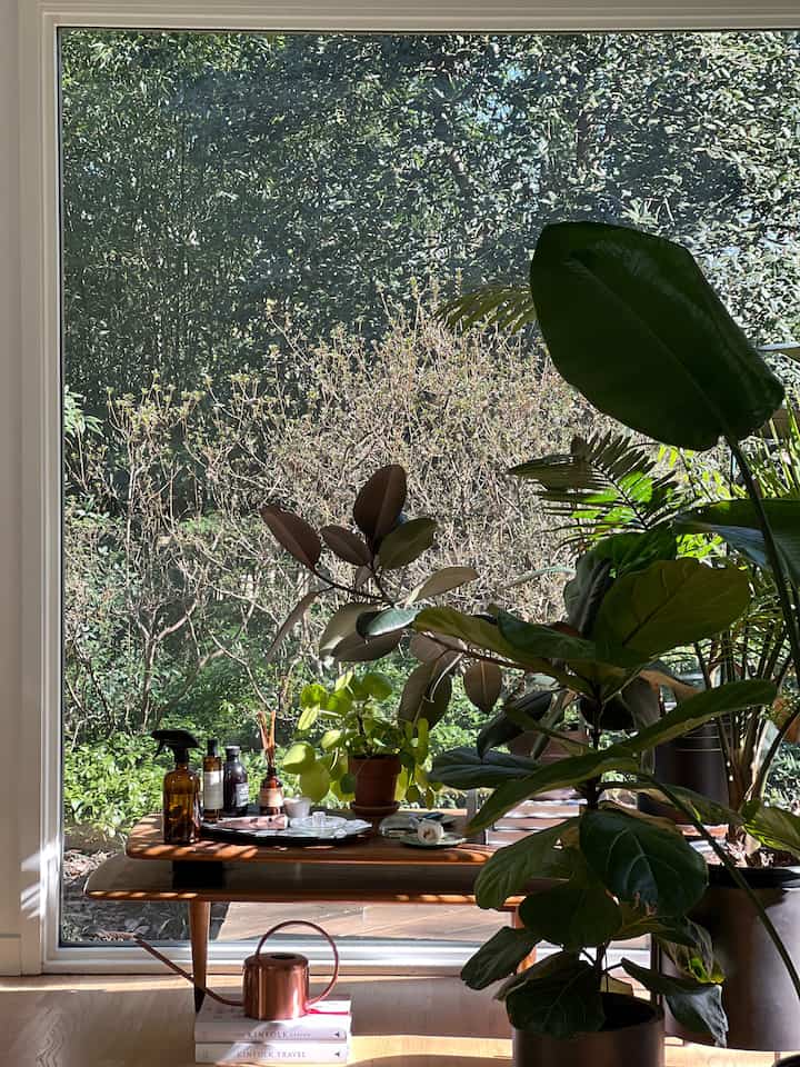 Green 💚 #inmybedroom #indoorplants #roomdecor #plantdecor #bedroomdecor #bedroom #bedroominterior #bedroomdecoration #plants 