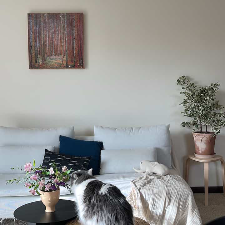 Soft white and navy toned living room featuring floral centerpiece on coffee table and a cat, creating a natural and simple interior atmosphere