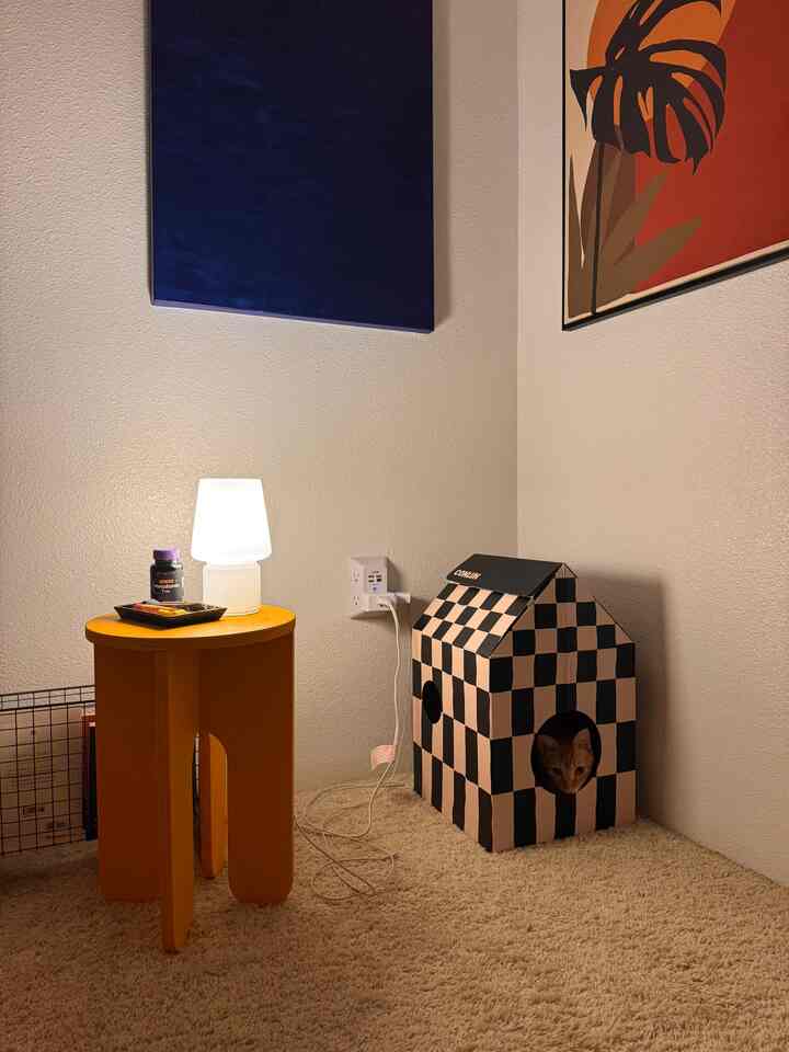 This cardboard cat house is everything! 😻 So cute & functional—with a scratch pad inside! 🐾 My cat is obsessed, and it’s the coziest little hideout. 🏠✨ #CatLife #CozyKitty #FunctionalDecor