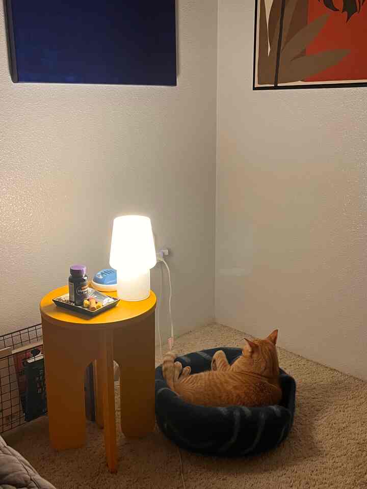 Sudut kamar tidur yang nyaman lainnya… dan rumah kucing lainnya! 😻 Kucing saya sangat manja—dia punya banyak rumah. 🏠🐾 Yang ini dari wol sangat nyaman, dan mereknya punya banyak sekali desain lucu sehingga saya butuh lebih banyak lagi! 😆✨ #SpoiledCat #CozyCorners #CatLover
