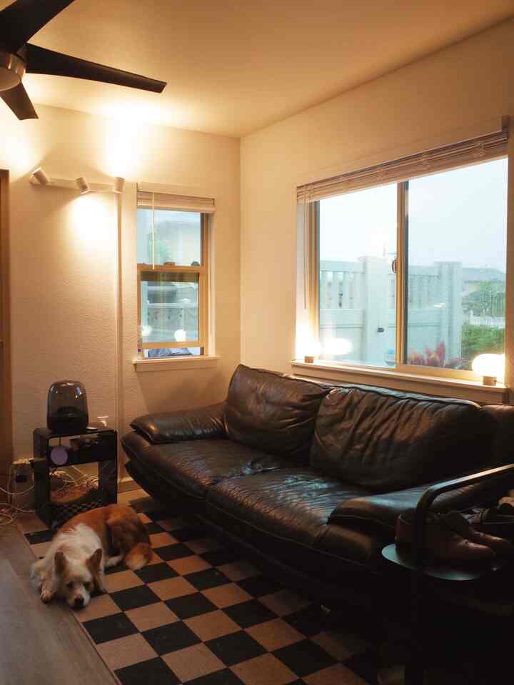 Cozy living room with black leather sofa and checkered rug under warm lights, featuring a dog resting on the floor