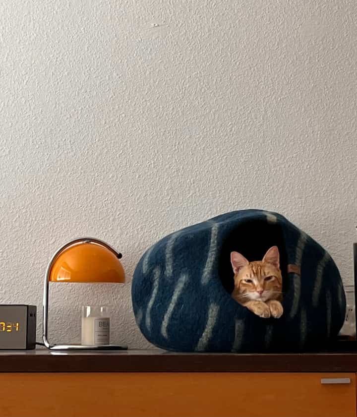 Natural-toned living room featuring an orange metal candle warmer lamp and a blue striped wool cat bed creating a cozy vibe