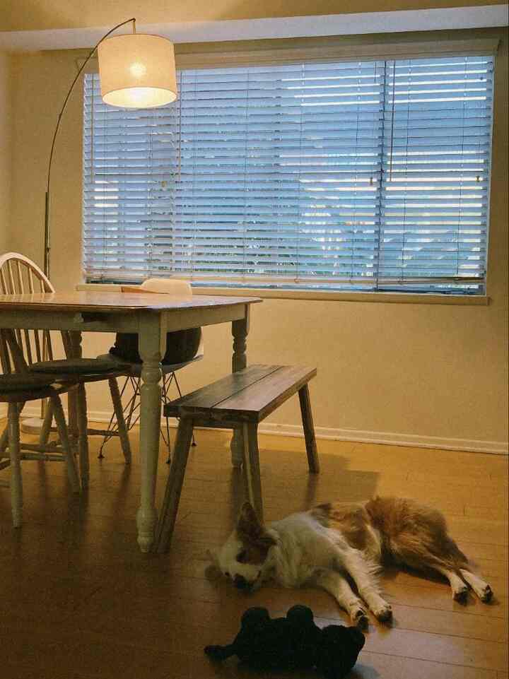 Our old living room setup ✨ Featuring a vintage-vibe dining table & warm wood tones for that cozy, timeless feel. 🤎 #HomeVibes #VintageStyle #WarmAndCozy
