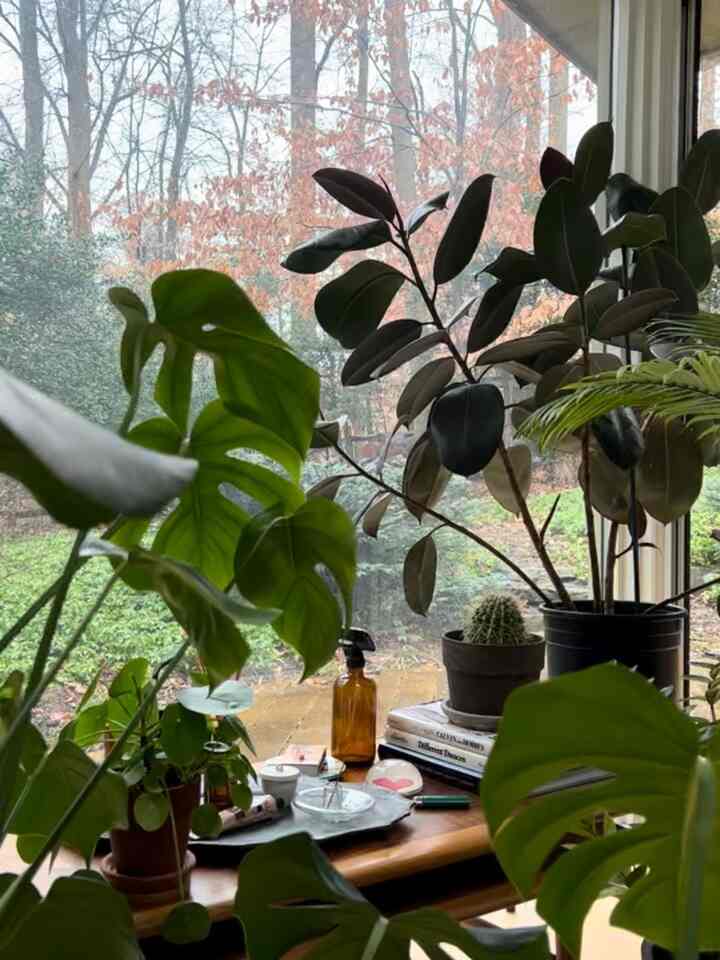 Penuh dengan warna hijau 💚 #bedroomcorner #indoorplant #Planterrier #plantinterior #PlantDeco