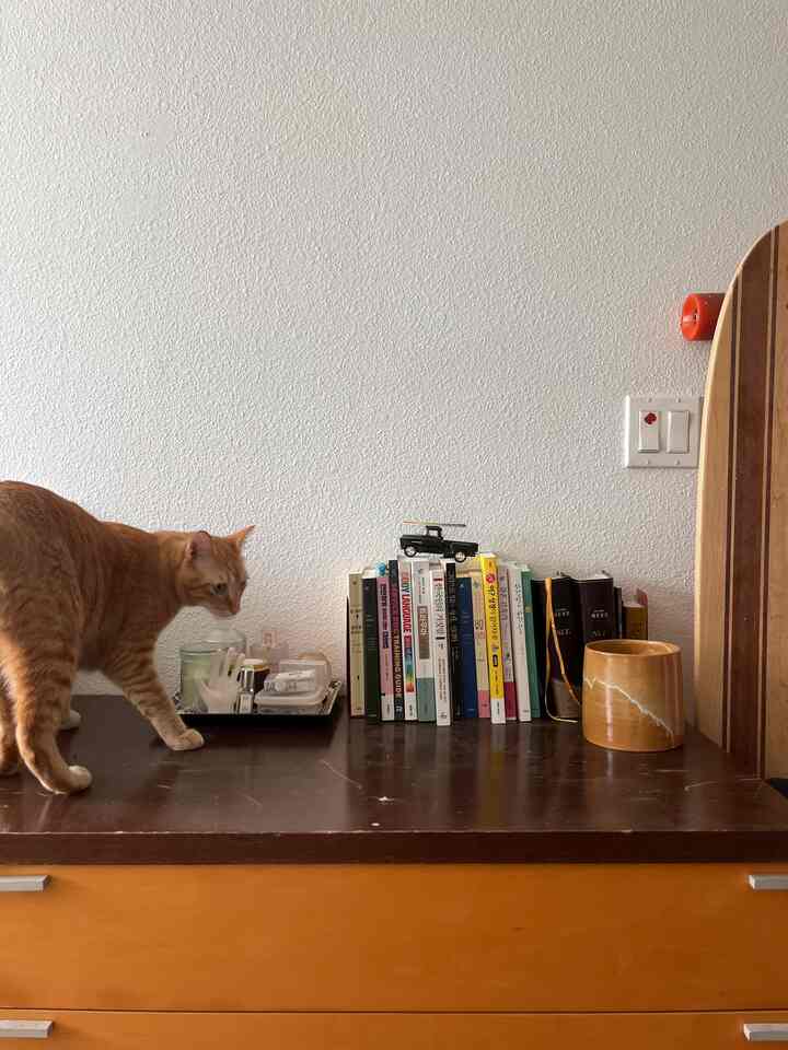 Decorate and stay organized! ✨ This small ceramic pot makes the cutest mini trash can, and trays keep all the little things in place. 🏡💡 #SmartStorage #FunctionalDecor #OrganizedLiving