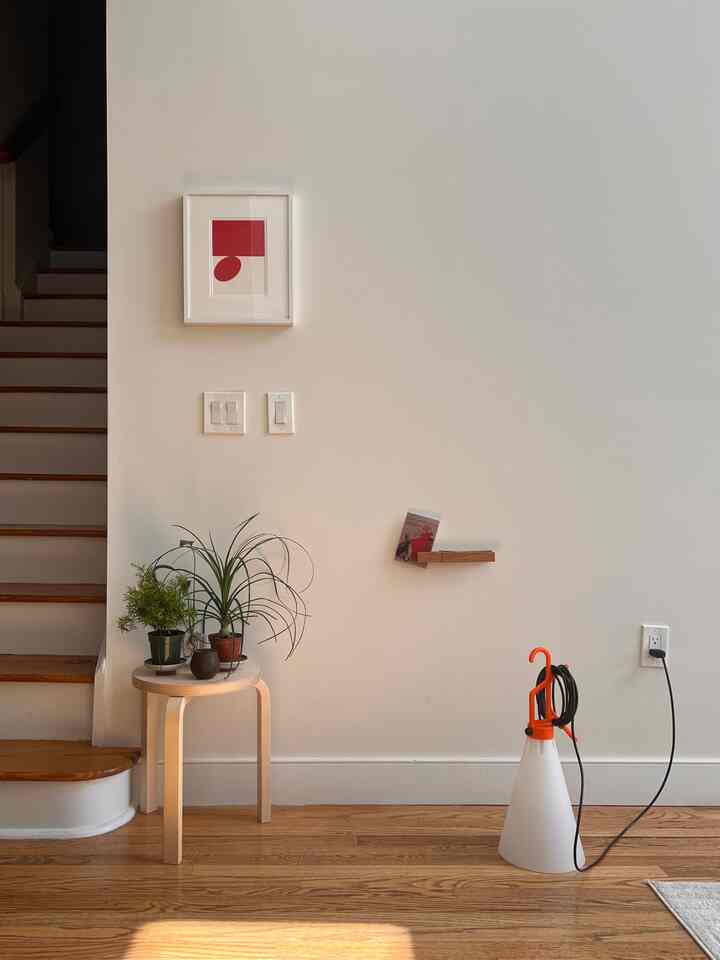 Got a new asparagus fern over the weekend. I wanted a lighter shade of greenery and it is perfect. I am trying to find the best place for it but for now, it lives next to the ponytail palm🌿
#greeninterior #green #Planterrier #plant #plantinterior #PlantDeco #spring #springinterior #springrefresh #refresh