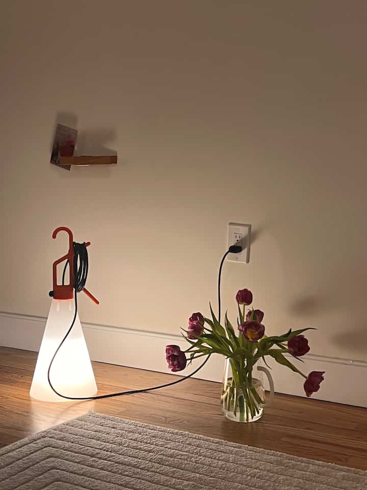 Same tulips, styled differently 💐 
#cozy #night #tulipflower #tulip #flower #springinterior #spring #springrefresh #refresh