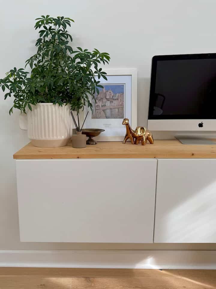 Planterior means spring! I’ve always loved having plants growing in my house, and I’ve been particularly fond of them since I moved in.🌿 
#planterior #plant #planter