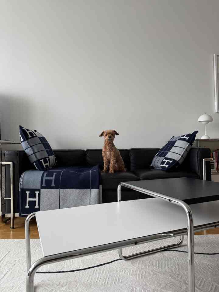 Ruang yang seimbang dengan warna kalem dan garis-garis bersih — dibuat lebih hangat dengan kehadiran yang familier. Minimalis tidak berarti dingin, terutama saat teman kesayangan Anda menempati tempat duduk terbaik di rumah.

#minimalinterior #modernhome #designliving #pethome #dogfriendlydesign #homewithpets #monochromestyle #contemporaryliving #interiorphotography #interiorinspo #homeaesthetic #chromeandleather #hermesblanket #luxuryinterior #smallspacedesign