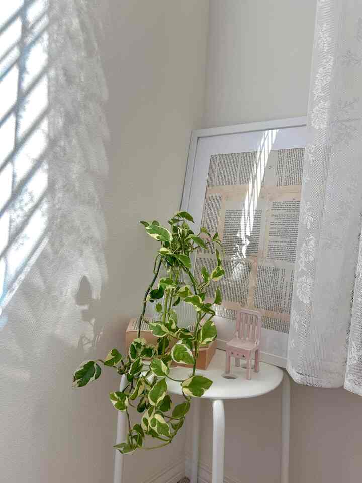 White stool topped with a plant and framed newspaper art in a cozy corner space