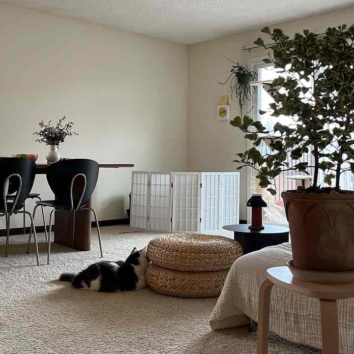 More space creates a refreshed atmosphere, transitioning the mood from winter to spring. 🤍

#beige #beigeinterior #livingroominterior #livingroom #christmas #christmastree #christmasdeco #spring 