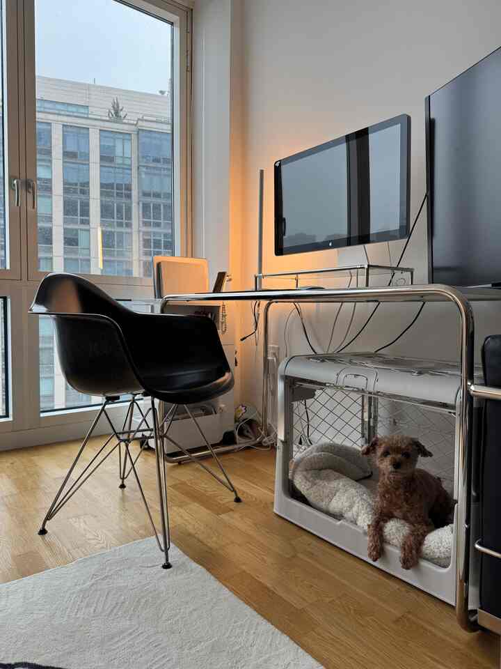 A calm and modern home office setup designed with both productivity and comfort in mind. The sleek chrome desk and Eames chair create a timeless aesthetic, while our pup enjoys a cozy space right beside us—because work is better with company.

#homeoffice #modernworkspace #interiorstyling #dogfriendlyhome #minimalhome #cleanaesthetic #workspaceinspo #designfurniture #calmliving #chromeinterior #eameschair #cozycorner #petfriendlydesign #organizedspace #aestheticdesk