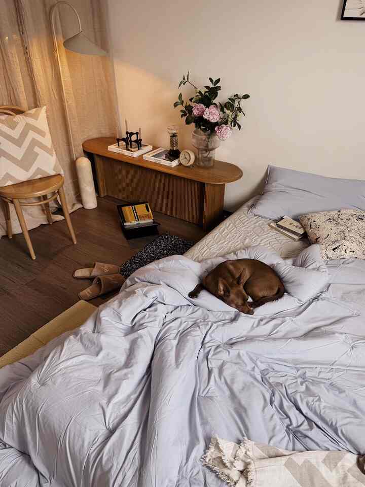 Soft blue tone bedroom featuring a large bed with a dog, natural wood console table, and floor lamp creating a cozy atmosphere