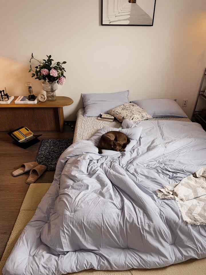 Soft pastel-toned bedroom with large duvet and pillows, featuring a small pet dog resting comfortably