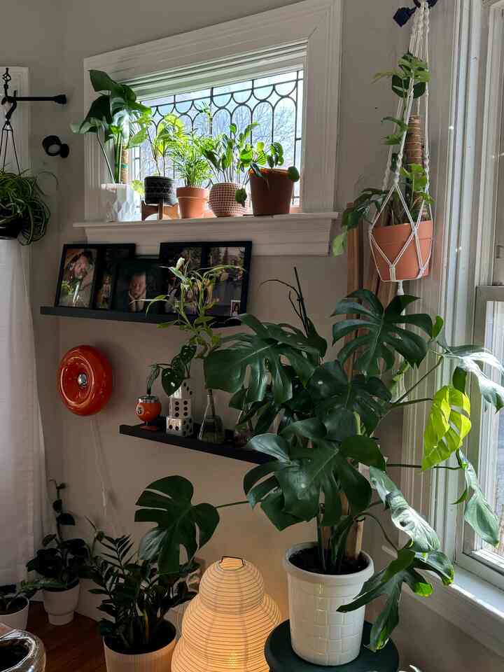 White-walled balcony space with large east-facing window featuring abundant green plants and a Japanese paper floor lamp, creating a natural and modern atmosphere