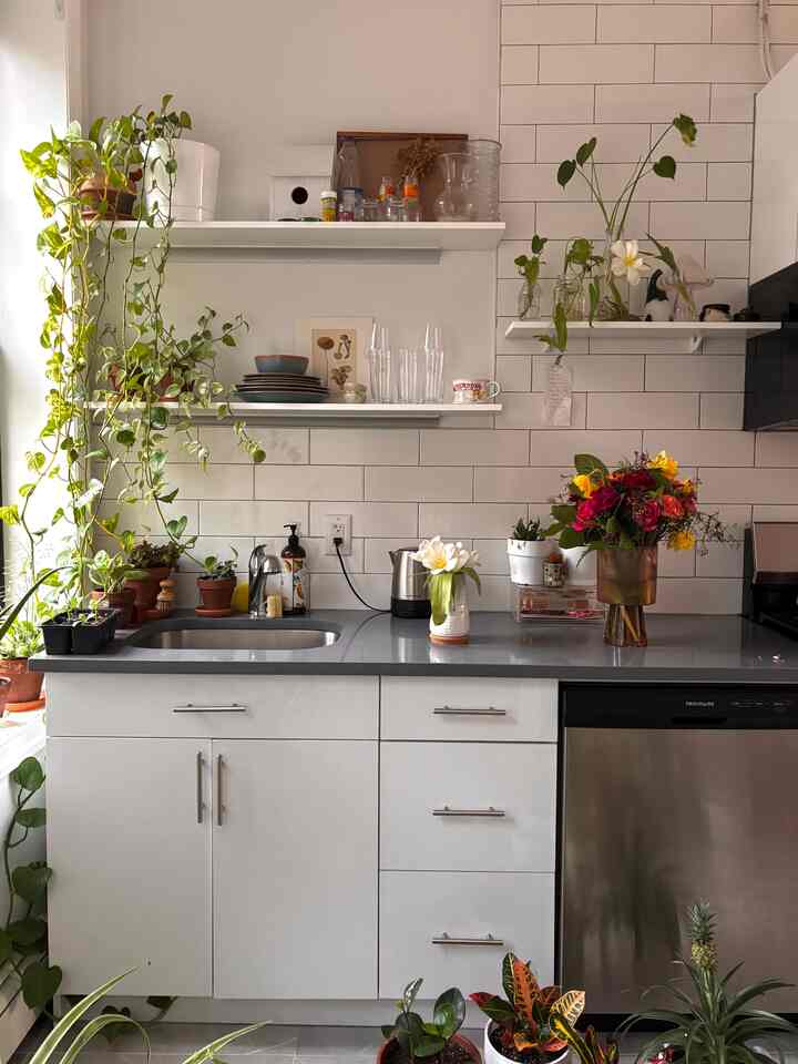 My happy place.
The apartment definitely feels more vibrant with fresh flowers. 

#spring #flowers #plants  #kitcheninterior #springflowers #springinterior #kitchen #vase 