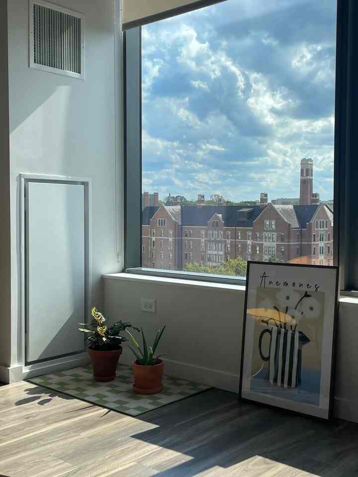 #studio #campusview #plantinterior #interiorinspiration