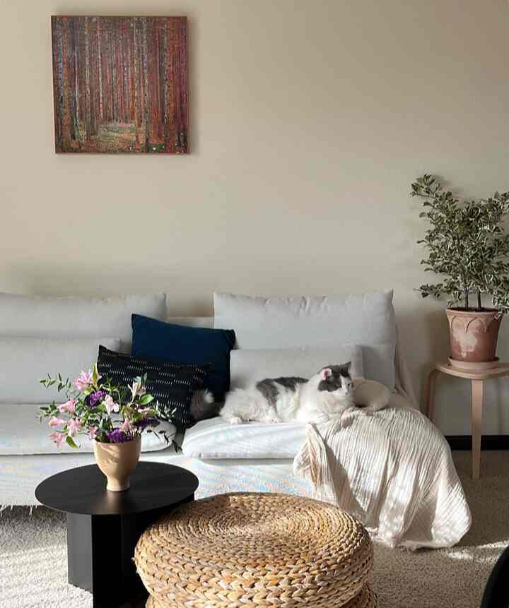 Natural-colored living room featuring a white sofa with a cat and cushions, a black coffee table and woven rattan stool centrally placed, creating a cozy atmosphere