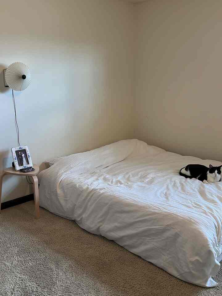 White-toned bedroom with a wall sconce, stool, and a cat resting on the bed in a simple setting