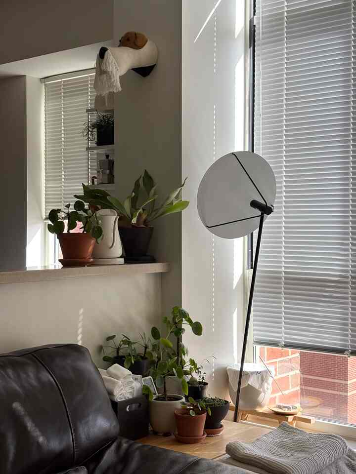 One of my favorite corner in the house🪴
#plant #Planterrier #midcentury #midcenturymodern #interior #pot #livingroom 