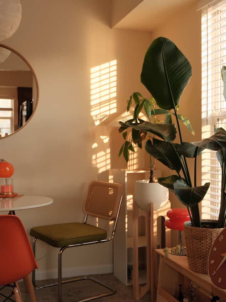 Will never get tired of golden hour here ☀️🫶🏼

#warmhouse #goldenhour #sunglow #diningchair 