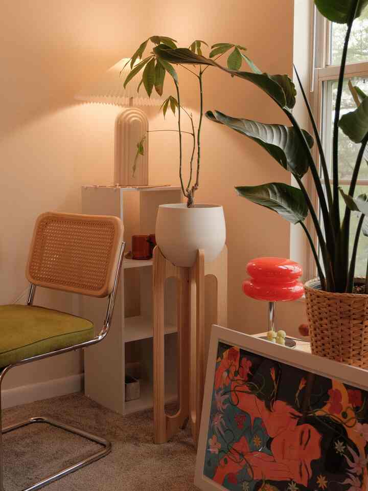 Help! My money tree is withering away 🥲

Taking it away from the sun-filled windows for a while to save it from getting scorched :)

The corner shelf is so versatile because you can stand it upright like it is in this shot or you can place it sideways and use it as a mini TV stand for your bedroom :) with storage comparents as well!

#plantdad #moneytree #diningplant