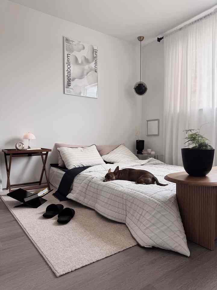 Pink + Navy + Cream = COZY 

#bedroom #bedroominterior #bedroomdecor #bedding #beddingset #bookstand #roomshose #rug #dog #lamp #lighting #lightinginterior #foldingtable #plant #Planterrier #cozybedroom #colorpoint 