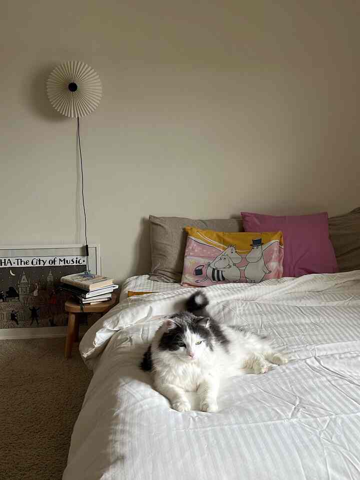 White and pink toned bedroom featuring neat bedding with a cat resting on the bed and Moomin character pillow creating a cozy atmosphere