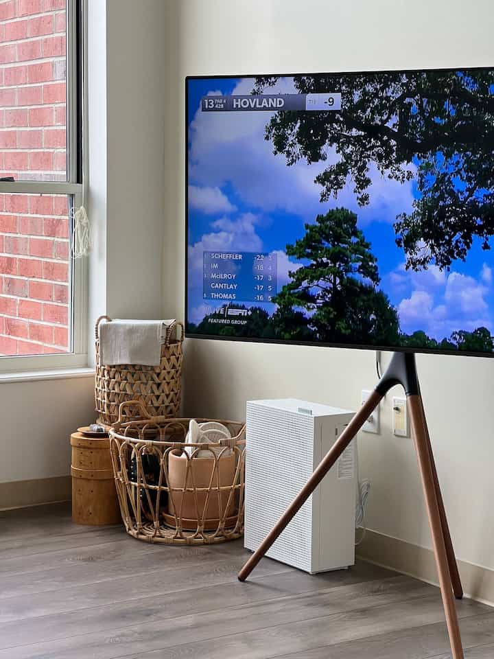 Simple yet functional🧺
#livingroominterior #midcenturymodern #tveasel #tvtripod #basketnook #basket 