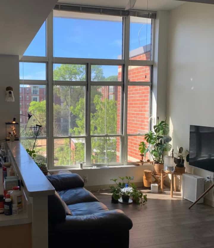 Love the green outside the window🌿
#window #livingroom #interiorplants #plants #sofa #atlanta 