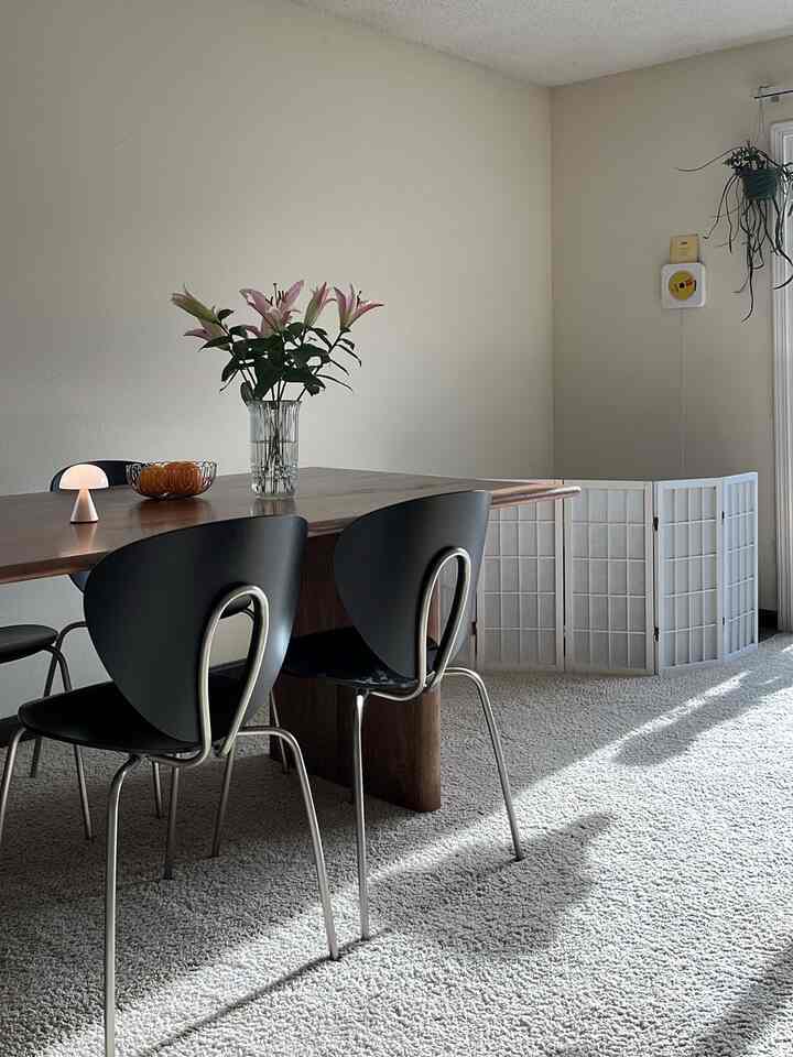 Bright natural-toned dining room featuring a wood-tone dining table and silver dining chairs with a clean spring atmosphere