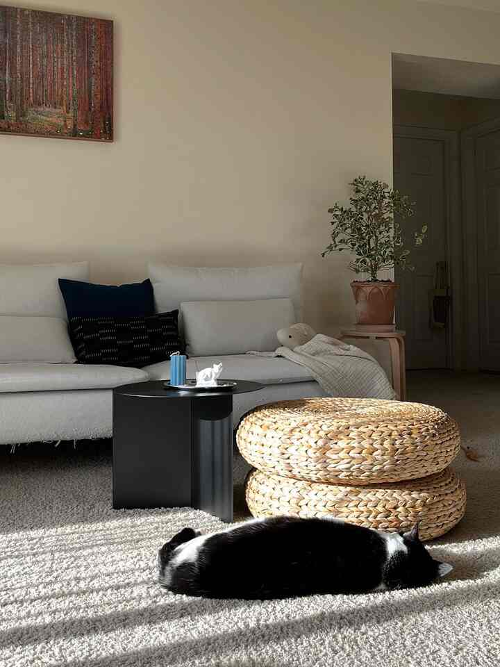 Natural-colored compact living room featuring a white sofa, wooden tone stools, and a cat lying on the sunlit carpet