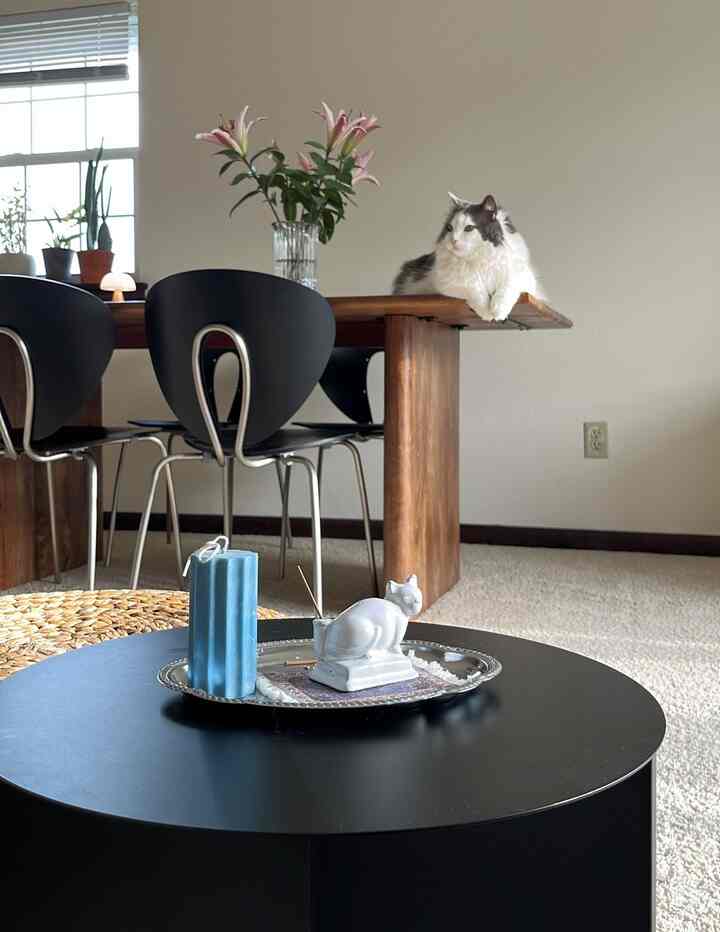 What is your go-to color palette for spring in your home? I just like black, wood, and chrome all together. 🩶🤎🤍🖤

#spring #diningtable #chair #woodenfurniture #WoodInterior 