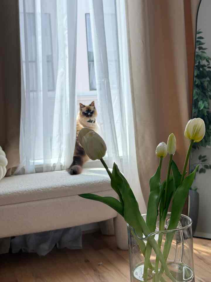 Natural-toned living room with a cat sitting on the window bench and a vase of tulip flowers in the foreground, creating a cozy atmosphere