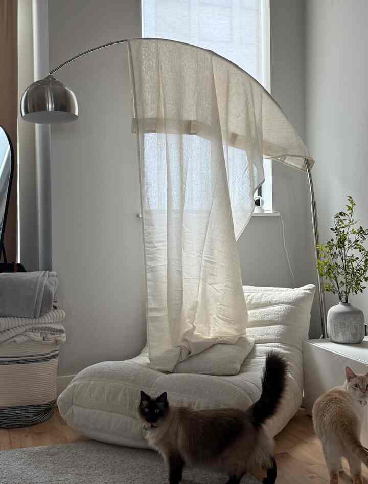 White and brown toned living room featuring soft textured sofa and two cats, creating a natural and cozy atmosphere