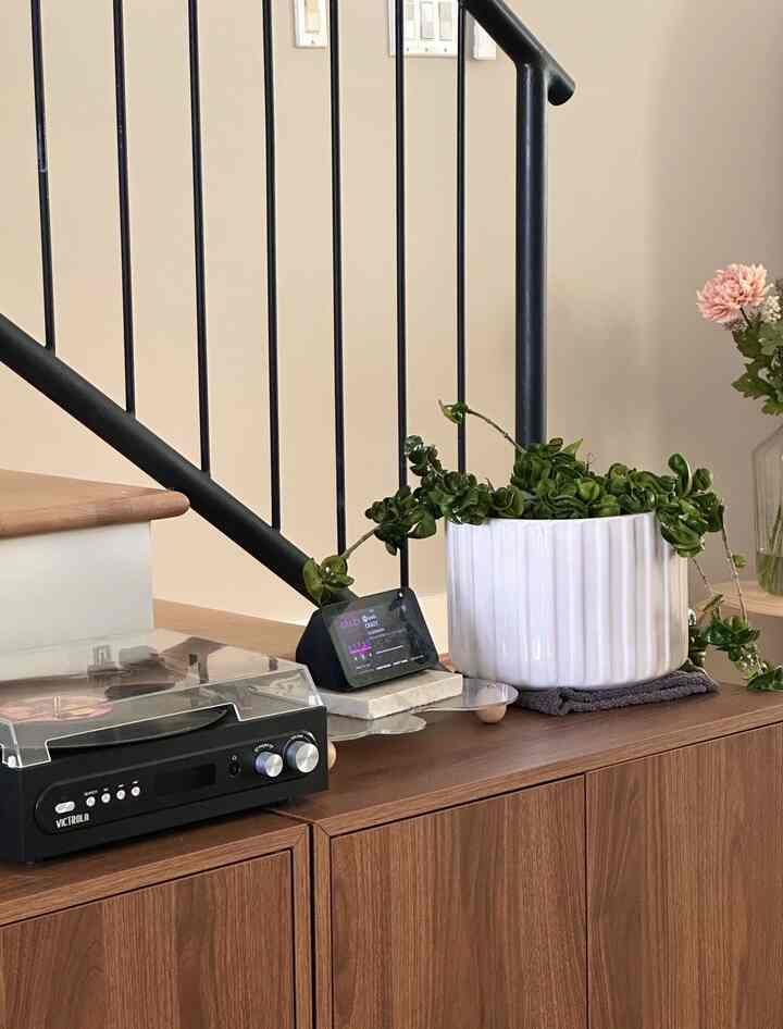 Wood tone living room featuring cabinet, plant and vintage record player with cozy, simple atmosphere