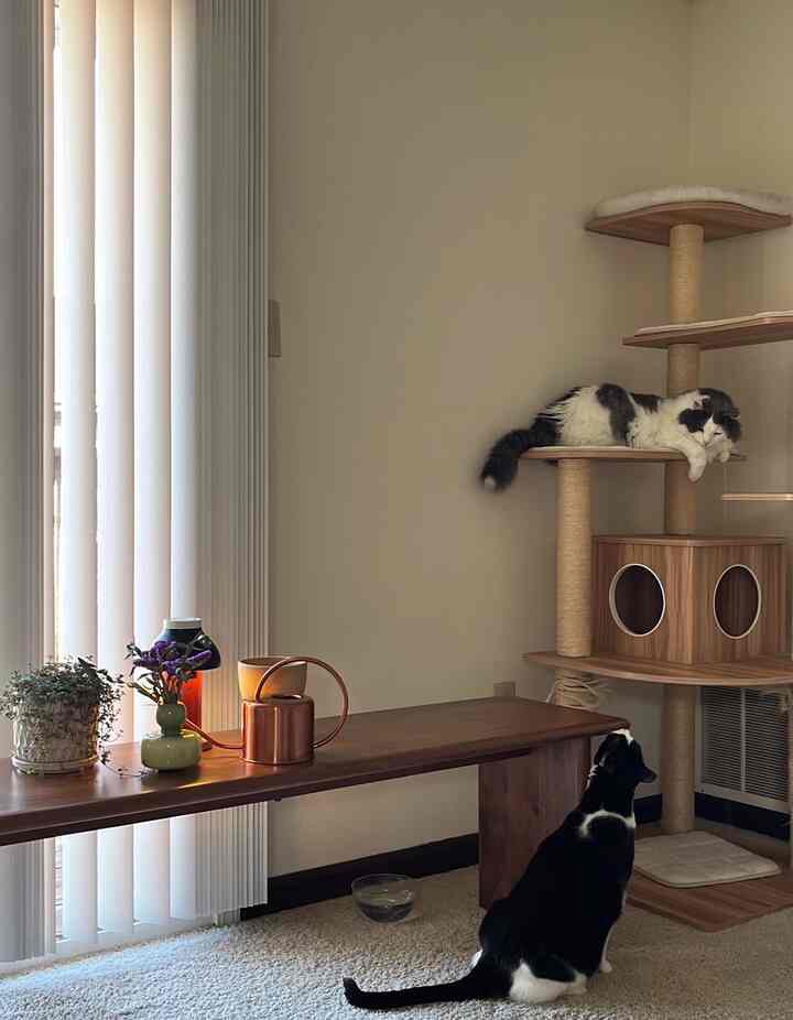 Beige-toned walls and floor with two cats and a cat tower in a cozy space