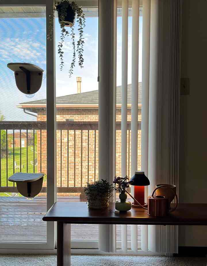 This bench was my bookshelf in the office but I figured it would be better for my plants. 

#livingroom #plantinterior #PlantDeco #spring #springinterior 
