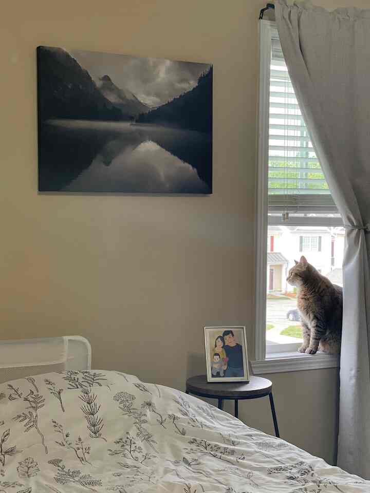 Neutral-toned bedroom featuring a family photo and a cat sitting on the windowsill in a simple space